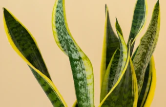 Exploring New Trends In Home Decor And Interior Design