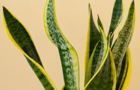 Exploring New Trends In Home Decor And Interior Design